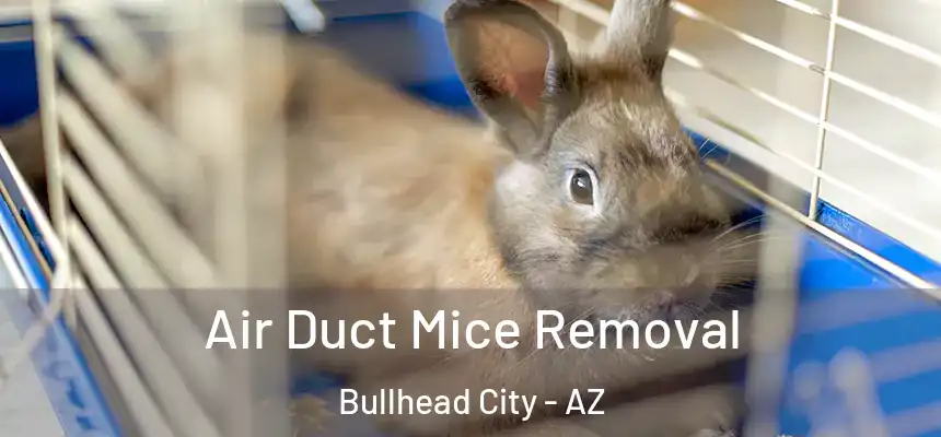Air Duct Mice Removal Bullhead City - AZ