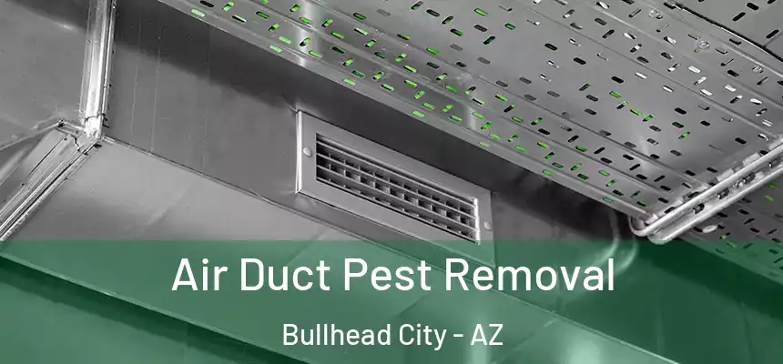 Air Duct Pest Removal Bullhead City - AZ