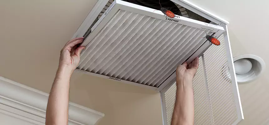 Preventive Cockroach-Proofing for Ducts in Bullhead City