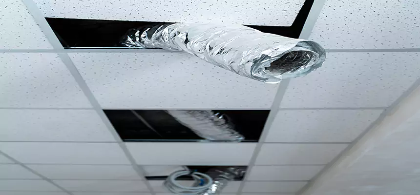 Affordable HVAC Sanitizing After Pest Removal in Bullhead City