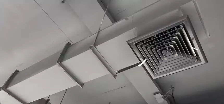 Our Rodent Droppings In Vents Services in Bullhead City, AZ