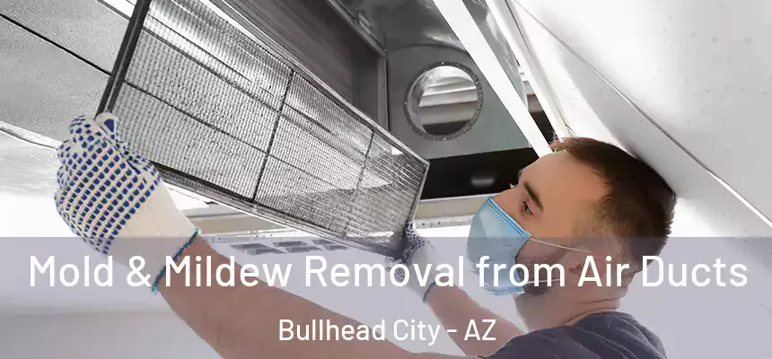 Mold & Mildew Removal from Air Ducts Bullhead City - AZ