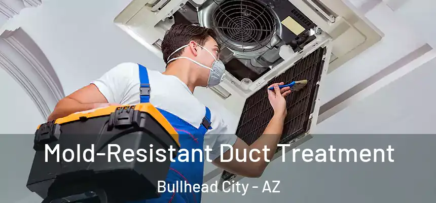 Mold-Resistant Duct Treatment Bullhead City - AZ