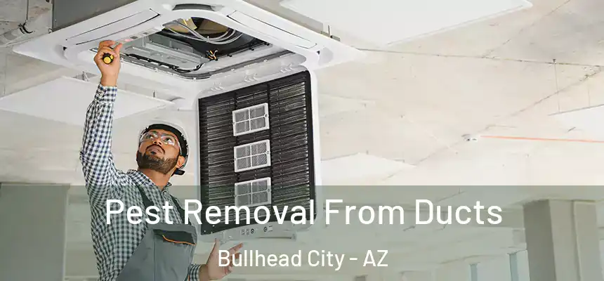 Pest Removal From Ducts Bullhead City - AZ
