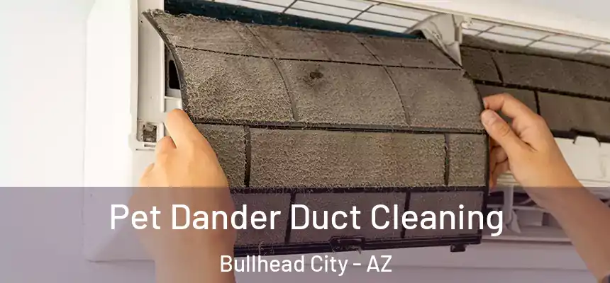 Pet Dander Duct Cleaning Bullhead City - AZ