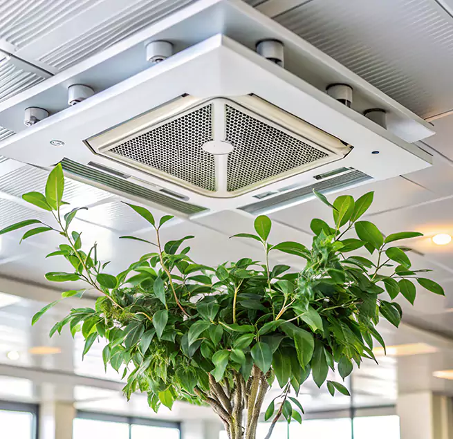 Why Homeowners & Businesses Trust Us in Bullhead City, AZ?